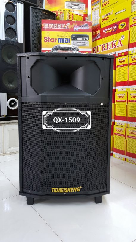 Temeisheng QX-1509